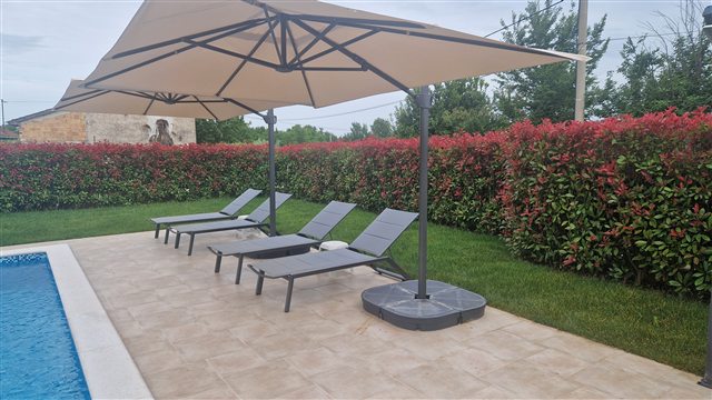 Garden and sun loungers